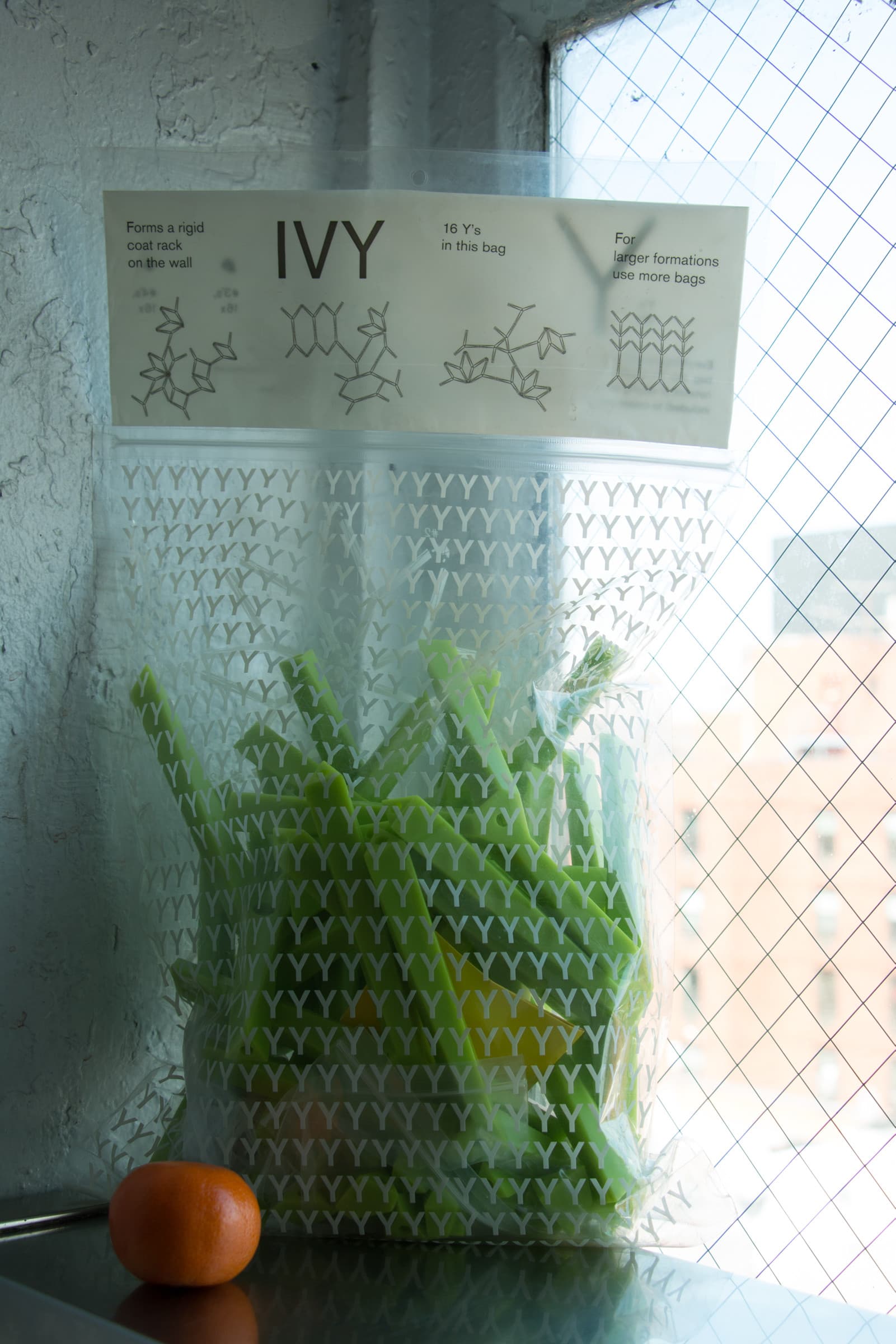 IVY1.jpg